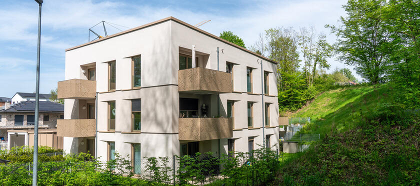 Wohnanlage am Beatussteig